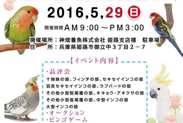全日本洋鳥クラブ　春の品評会