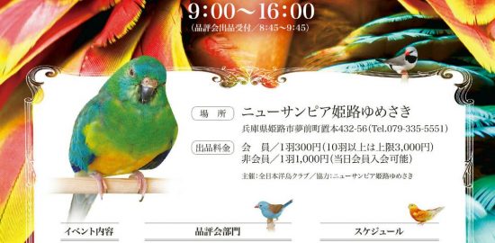 全日本洋鳥クラブ
